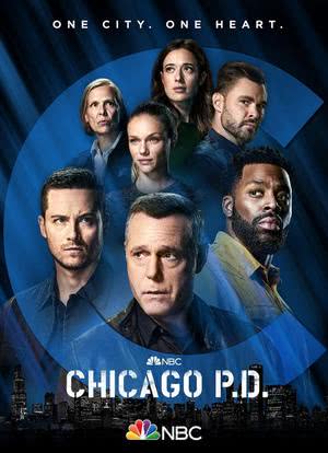 芝加哥警署 第九季海报封面图