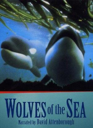 Wolves of the Sea海报封面图