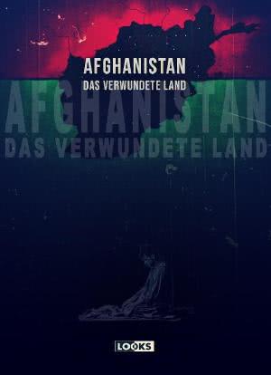 阿富汗：伤痕之地海报封面图
