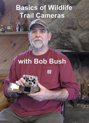 与鲍勃·布什一起拍摄野生动物踪迹海报封面图