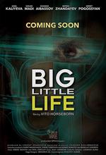 Big Little Life