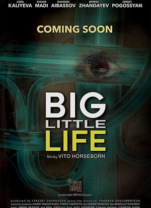 Big Little Life海报封面图