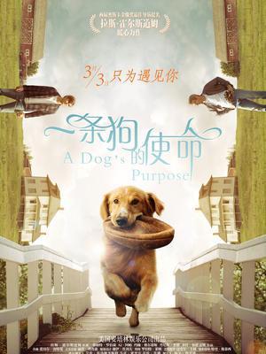 一条狗的使命 英语版海报封面图