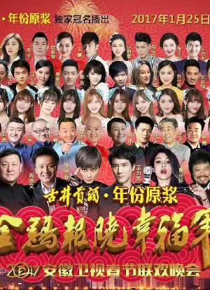 2017年安徽卫视春节联欢晚会海报封面图