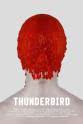 Mike Ennis Thunderbird