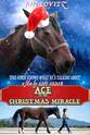 Steven Chase 圣诞奇迹王牌马