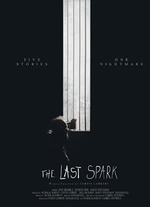 The Last Spark海报封面图