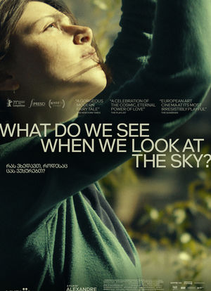 What Do We See When We Look at the Sky?海报封面图