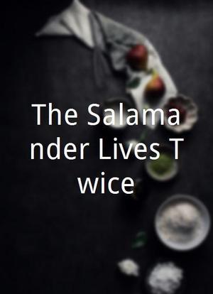 The Salamander Lives Twice海报封面图