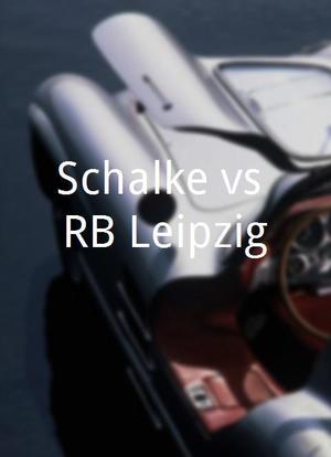 Schalke vs RB Leipzig海报封面图