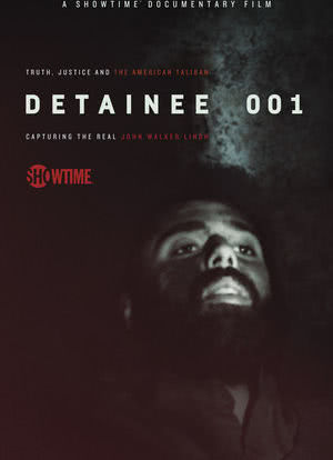 被拘留者001海报封面图