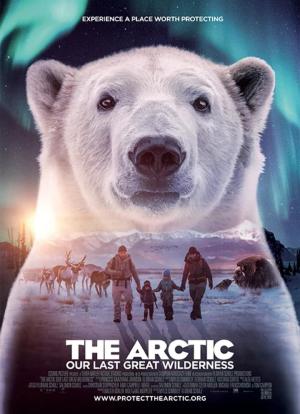 北极：地球最后的荒野海报封面图