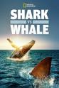 Ted Stewart 鲨与鲸