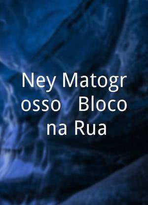 Ney Matogrosso - Bloco na Rua海报封面图