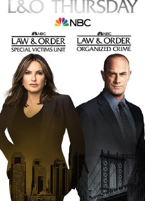 法律与秩序：组织犯罪 第二季海报封面图