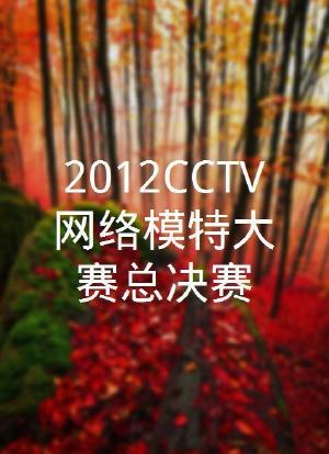 2012CCTV网络模特大赛总决赛海报封面图