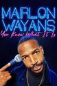 史蒂夫·哈里斯 Marlon Wayans: You Know What It Is
