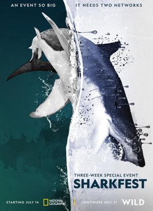 Man vs. Shark海报封面图
