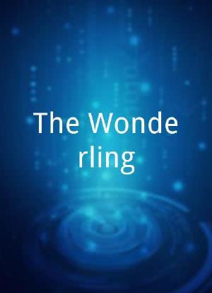 The Wonderling海报封面图