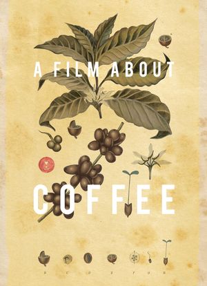 一部关于咖啡的电影海报封面图