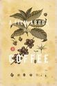 Daisuke Hamada 一部关于咖啡的电影