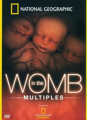 子宫日记：多胞胎海报封面图