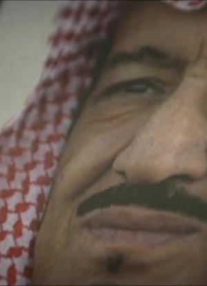 沙特阿拉伯揭秘海报封面图