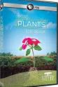 Barry Lank PBS 自然：植物间的对话