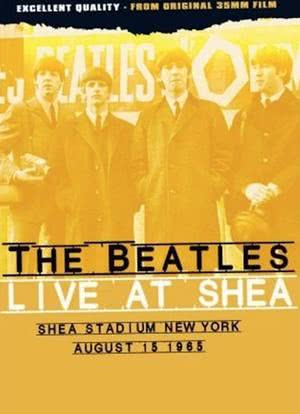 披头士1965年美国纽约希叶露天体育馆演唱会海报封面图