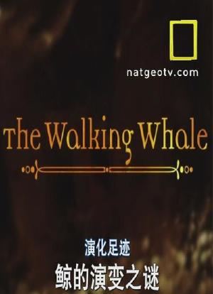 国家地理-演化足迹：陆上行鲸海报封面图