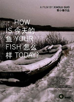 今天的鱼怎么样？海报封面图