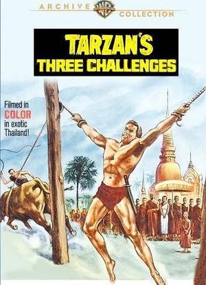 泰山的三大挑战海报封面图