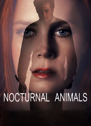 夜行动物海报封面图