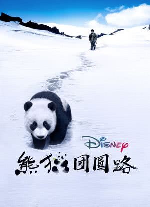 熊猫回家路海报封面图