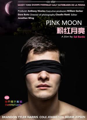 粉红月亮海报封面图