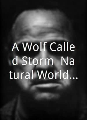 A Wolf Called Storm: Natural World Special海报封面图