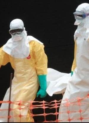 寻找治愈埃博拉病毒的方法海报封面图