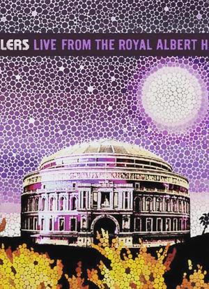 杀手乐团：皇家艾伯特音乐厅演唱会海报封面图