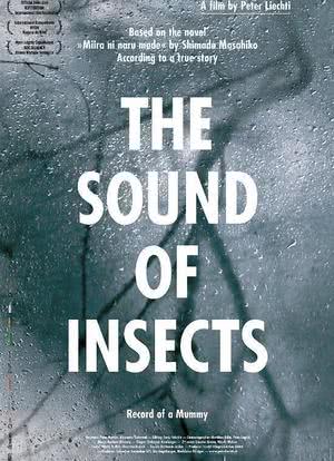 昆虫的声音海报封面图