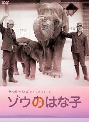 大象花子海报封面图