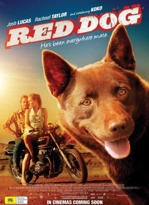 红犬历险记海报封面图