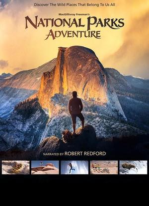 狂野之美：国家公园探险海报封面图