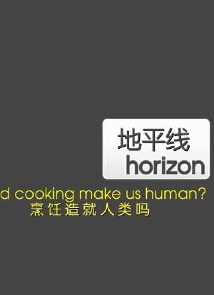 地平线系列：烹饪造就人类吗海报封面图