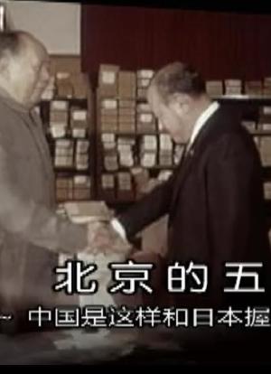 北京的五天——中国是这样和日本握手的海报封面图