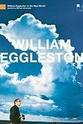 Winston Eggleston 威廉·埃格尔斯顿的现实世界