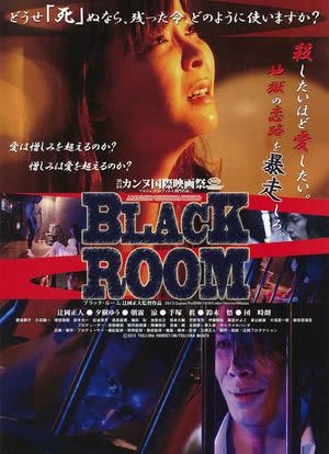 BLACK ROOM海报封面图