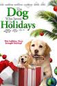 John K. Anderson The Dog Who Saved the Holidays