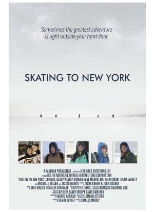 纽约冰上行海报封面图