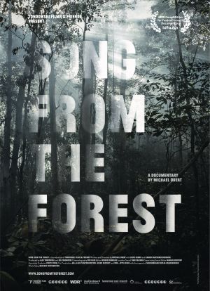 森林之歌海报封面图