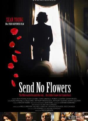 Send No Flowers海报封面图